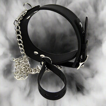 Bound to Please Silicone Collar and Lead Fetish My Amazing Fantasy